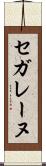 セガレーヌ Scroll