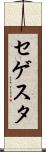 セゲスタ Scroll