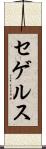 セゲルス Scroll