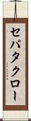 セパタクロー Scroll