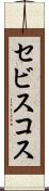 セビスコス Scroll