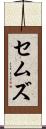 セムズ Scroll