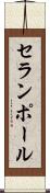 セランポール Scroll