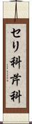 セリ科 Scroll