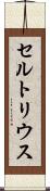 セルトリウス Scroll