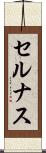 セルナス Scroll