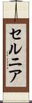 セルニア Scroll