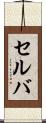 セルバ Scroll
