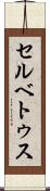 セルベトゥス Scroll