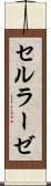 セルラーゼ Scroll