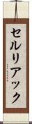 セルリアック Scroll