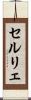セルリェ Scroll