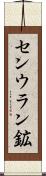 センウラン鉱 Scroll