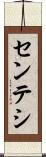 センテシ Scroll