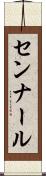 センナール Scroll