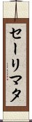 Salimata Scroll