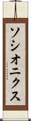 ソシオニクス Scroll