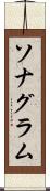 ソナグラム Scroll