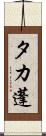 タカ蓬 Scroll