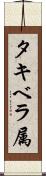 タキベラ属 Scroll