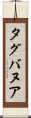 タグバヌア Scroll