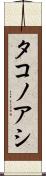タコノアシ Scroll
