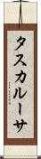 タスカルーサ Scroll