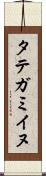 タテガミイヌ Scroll