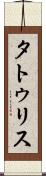 タトゥリス Scroll