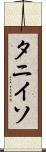 タニイソ Scroll