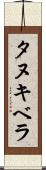 タヌキベラ Scroll
