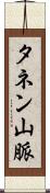 タネン山脈 Scroll