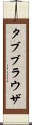 タブブラウザ Scroll