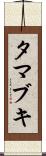 タマブキ Scroll