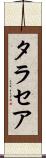 タラセア Scroll