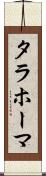 タラホーマ Scroll