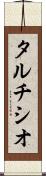タルチシオ Scroll