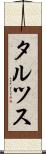 タルツス Scroll