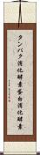 タンパク消化酵素 Scroll