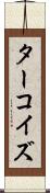 ターコイズ Scroll