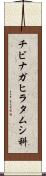 チビナガヒラタムシ科 Scroll