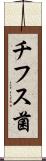 チフス菌 Scroll