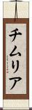 チムリア Scroll