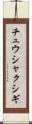 チュウシャクシギ Scroll