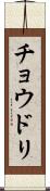 チョウドリ Scroll