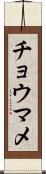 チョウマメ Scroll