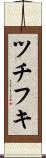 ツチフキ Scroll