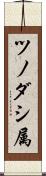 ツノダシ属 Scroll