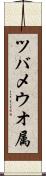 ツバメウオ属 Scroll
