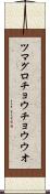ツマグロチョウチョウウオ Scroll